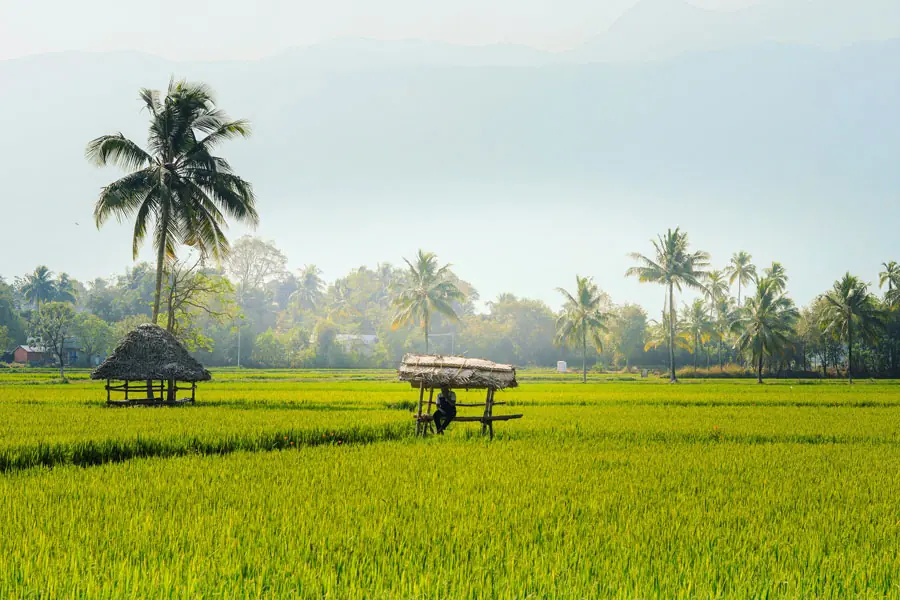 Farm tourism in green Kerala countryside