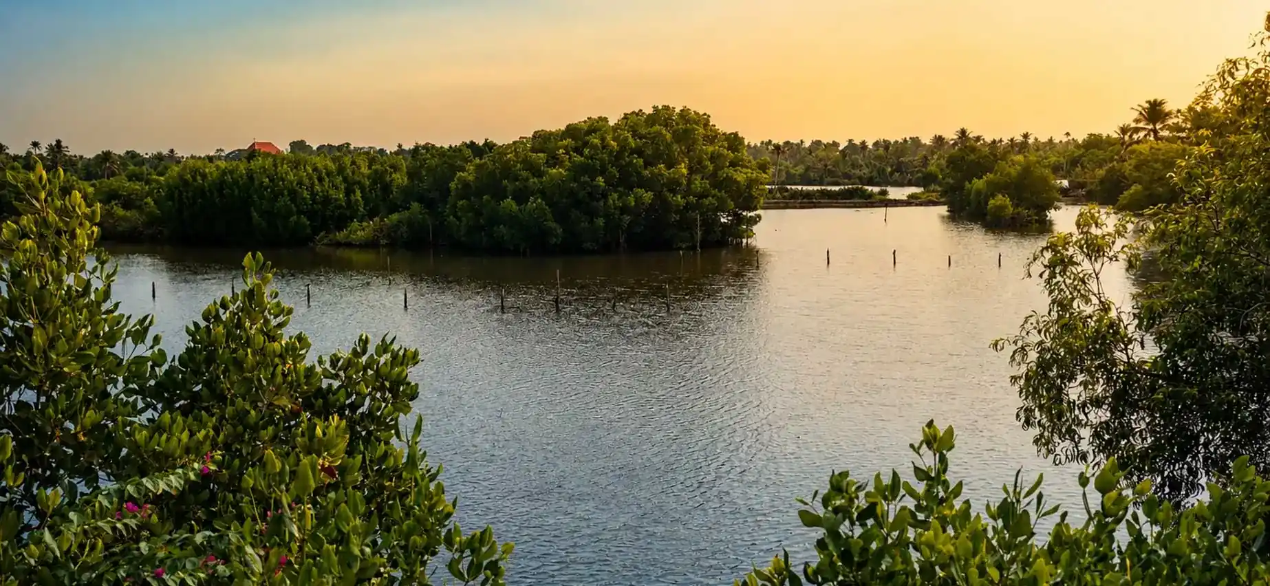 Kerala experiences from The Elegant Homestay